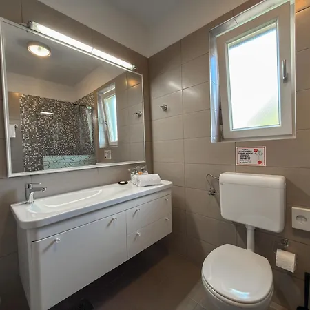 Guest house And Istrasoley 4*